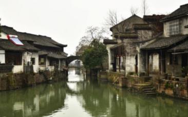 发现冷知识 | 一个汇聚奇闻异事的职场新人总被欺负应该反抗吗?平台